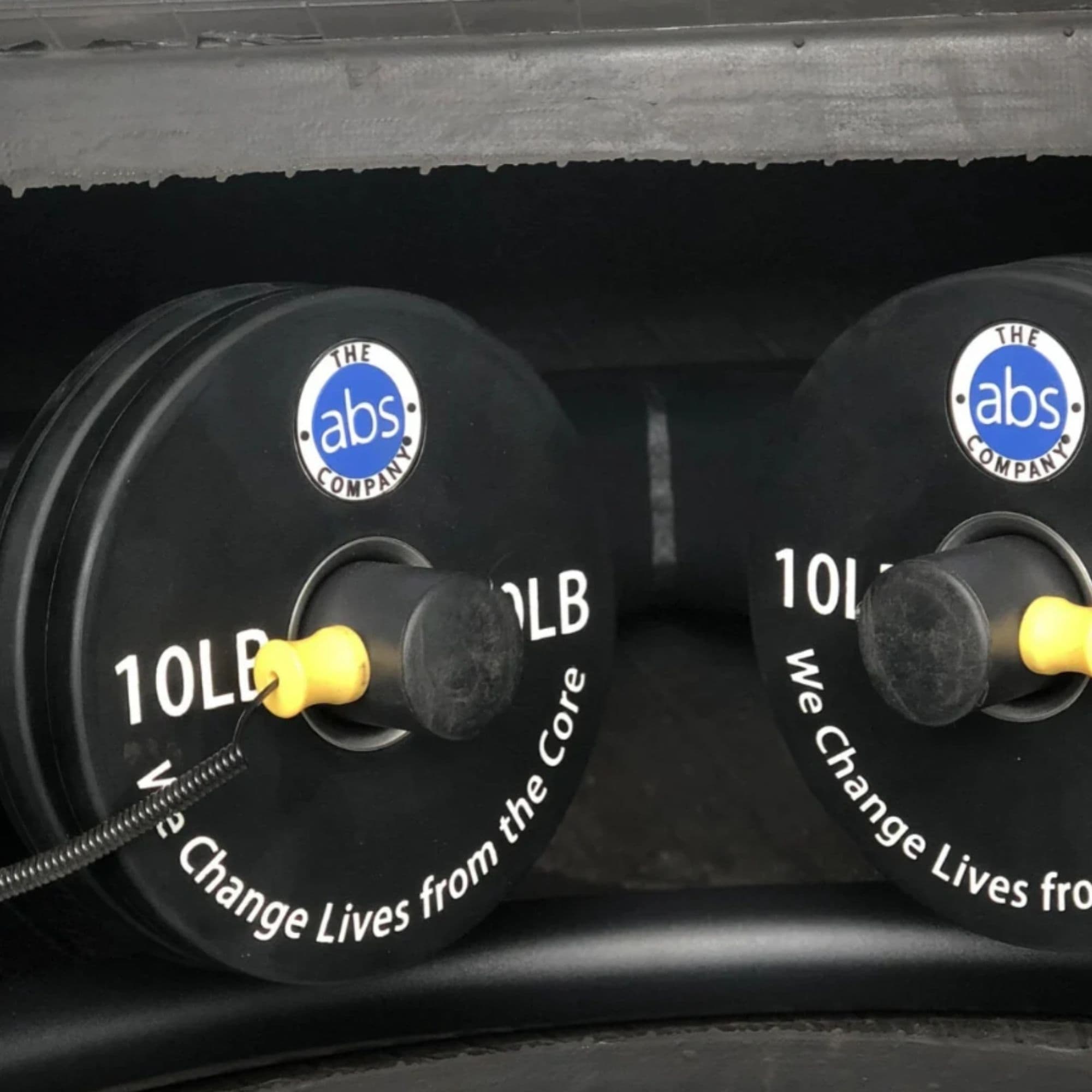 ABS4005-02 TireFlip 180XL Close-Up Of Weight Plates