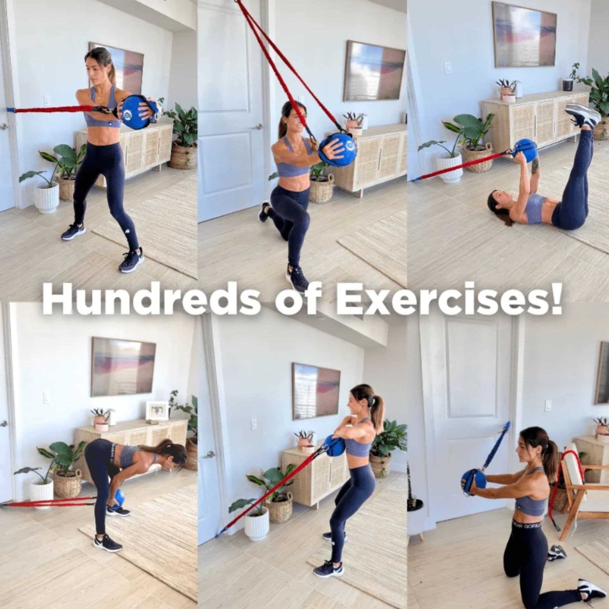 Ab Ball System Showing A Sample Exercises