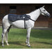 Comprehensive Equine PEMF Kit by Oxford With A White Horse Wearing The Therapy Blanket On Its Back