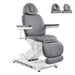 DIR Apollo 4-Motor Heated Medical Spa Chair Gray Variant Front Angled View With Detachable Headrest Options On White Background