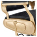 DIR Cavalier Gold Finish Barber Chair Close-Up View Of Decorative Metallic Gold Armrest Support And Black Upholstered Seat
