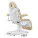 DIR Ink 3-Motors Medical Spa Chair Beige Variant Rear View With Remote Control On White Background
