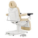 DIR Ink OB 3-Motors Gyno Chair with Stirrups - OB GYN Beige Rear View With Remote Control On White Background