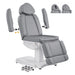 DIR Ink Triple-Motor Spa Treatment Chair Gray Variant Front Angled View Showing Detachable Armrest On White Background