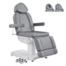 DIR Ink Triple-Motor Spa Treatment Chair Gray Variant Front Angled View With Close-up Details Of Headrest Options On White Background