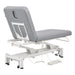 DIR Mar Egeo Dual-Motor Medical Spa Bed Gray Variant Rear View On White Background