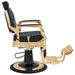 DIR Princeton Gold Barber Chair Black Variant Side View On White Background