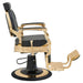 DIR Princeton Gold Barber Chair Vintage Black Variant Side View On White Background