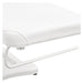 DIR Serenity Electric Spa Treatment Bed Close-Up View Of Paper Towel Holder And White Upholstery