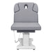 DIR Tranquility 4-Motors Electric Medical Spa Treatment Table Gray Variant Front View On White Background