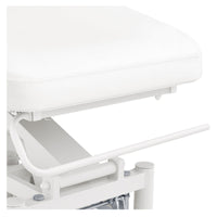 Thumbnail for DIR VitalEarth 2-Motors Treatment Table and Wellness Therapy Bed Close-Up View Of Paper Towel Holder And White Upholstery
