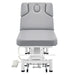 DIR VitalEarth 2-Motors Treatment Table and Wellness Therapy Bed Gray Color Front Angled View With Foot Controls On White Background