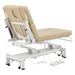 DIR VitalEarth Dual-Motor Therapy Treatment Table Beige Angled Rear View With Foot Control On White Background