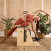 Elina Elite Combo Chair Wood With A Woman Performing A Pilates Exercise And Potted Green Plants In The Background