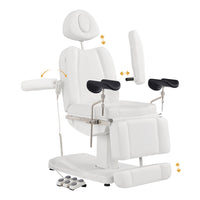 Thumbnail for DIR Ink OB 3-Motors Gyno Chair with Stirrups - OB GYN