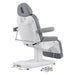 Ink Triple-Motor Medical Spa Treatment Chair Gray Variant Rear View With Remote Control On White Background