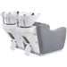 Majestic Double Seats Shampoo Chair Rear Angled View Of Double Shampoo Wash Station