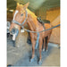 OMI PEMF Full Equine Package Blanket Shoulder Band Neck Wrap Rear Leg Wrap Front Leg Wrap With Brown Horse Inside The Barn
