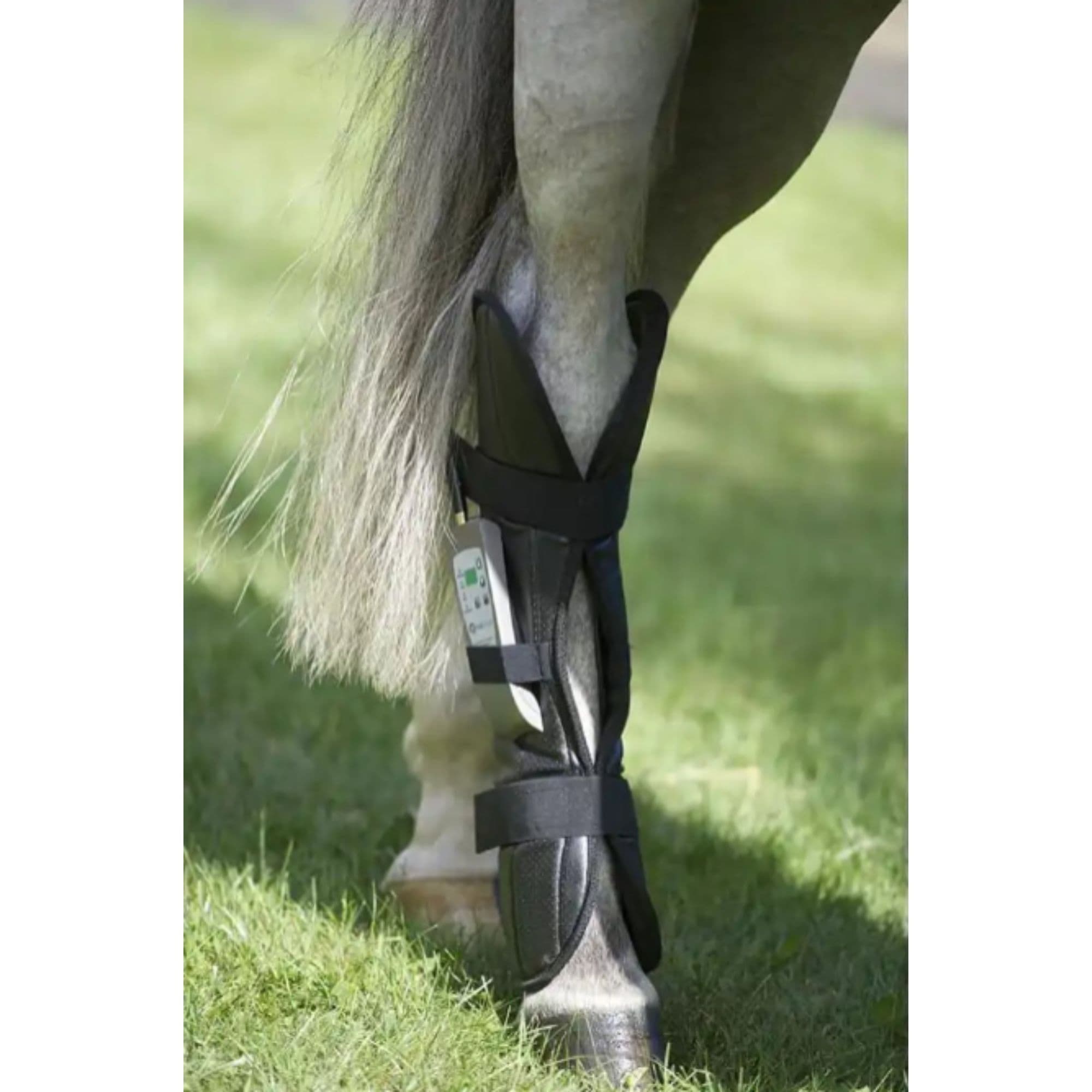 OMI PEMF Horse Rear Leg Wrap Wrap On Rear Leg