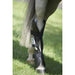 OMI PEMF Horse Rear Leg Wrap Wrap On Rear Leg