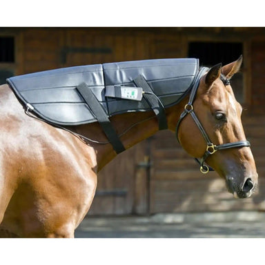 Oxford Equine PEMF Neck Wrap With A Brown Horse Wearing A Therapy Blanket Around Its Neck