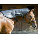 Oxford Equine PEMF Neck Wrap With A Brown Horse Wearing A Therapy Blanket Around Its Neck