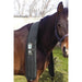 Oxford PEMF Full Equine Package With Brown Horse Wearing Therapy Wrap Around Neck