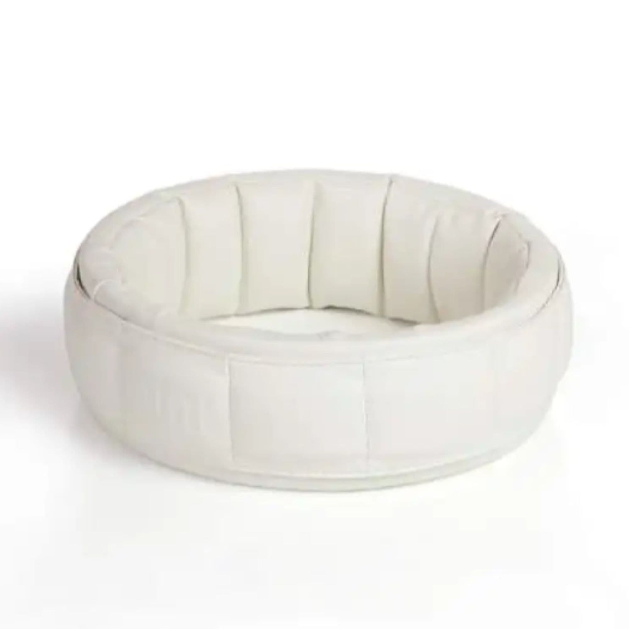 Oxford PEMF Ring With Clean Background