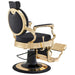 Princeton Luxury Gold Barber Chair Black Variant Rear Angled View On White Background