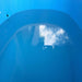 Revive Inflatable Cold Plunge Ice Bath Tub – 98 Gallons Detail View Of Water Inside