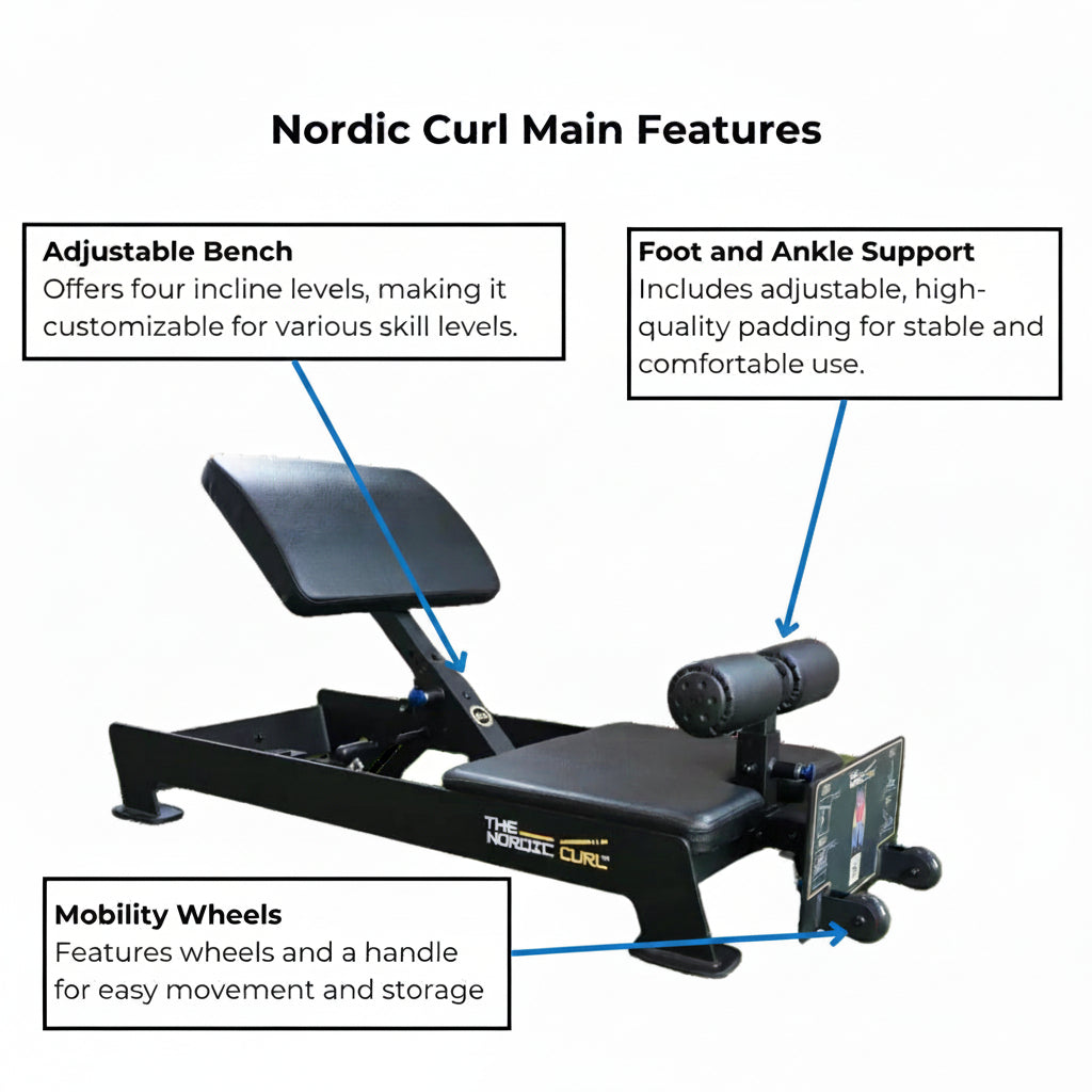 The Abs Company Nordic Curl Leg Curl Machine – ABS1022