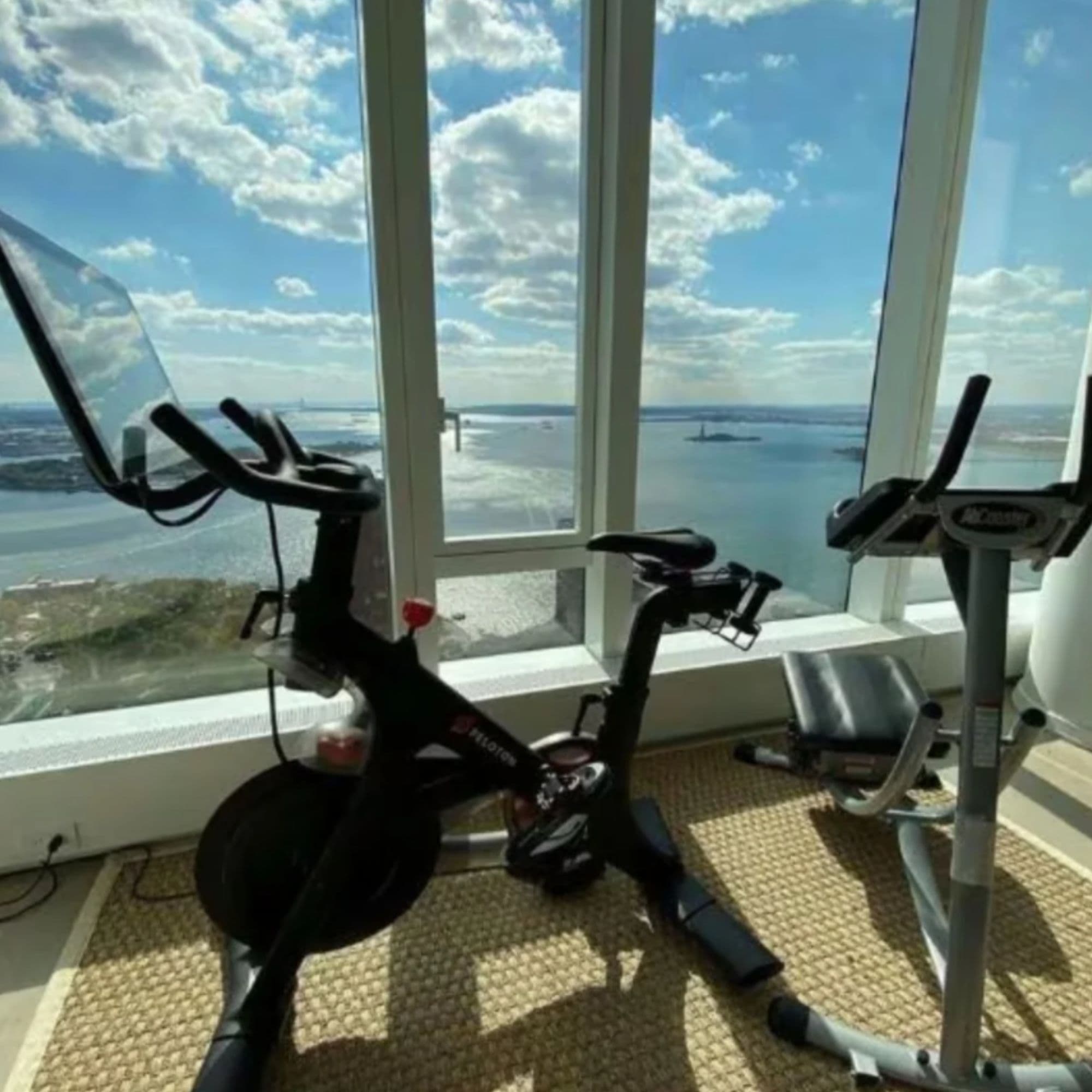 The Abs Company Ab Coaster PS500 – Personal Series ABS2005 Home Gym Setup With Waterfront View