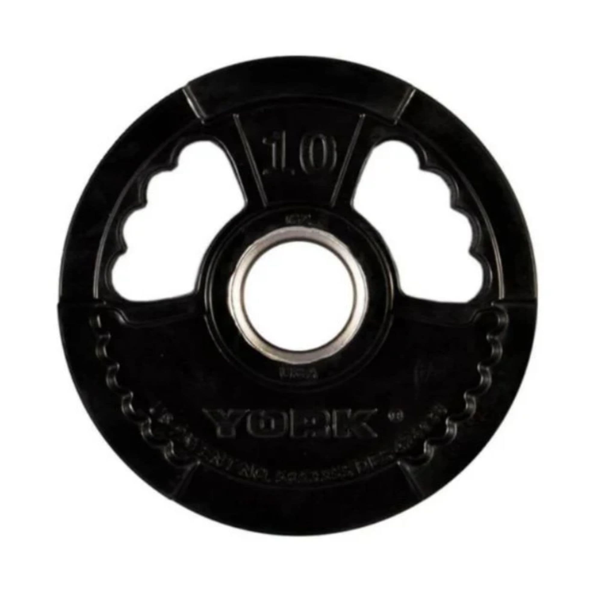 York Barbell 2 G-2 Olympic Dual Grip Plate 10 LB Weight On White Background