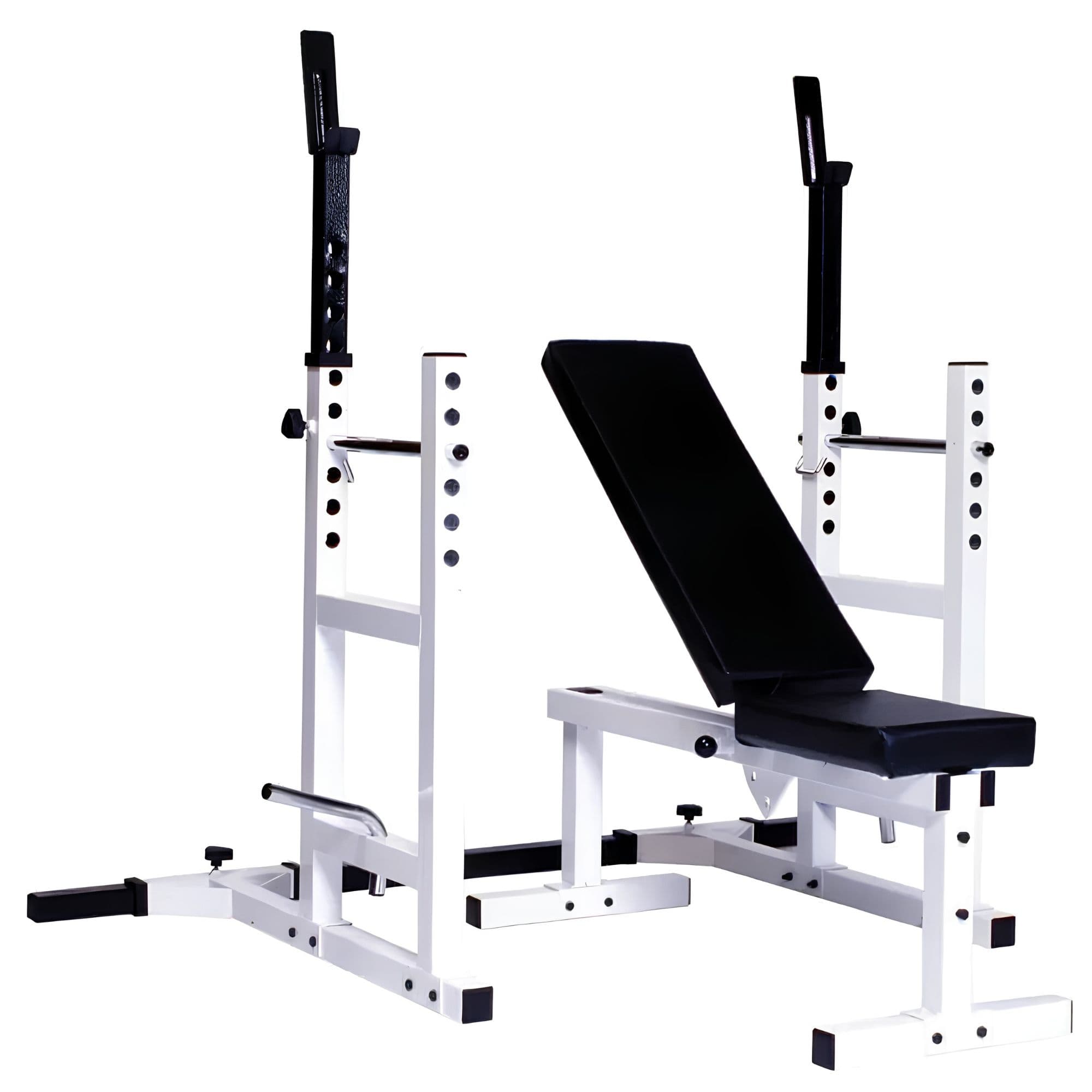 York Barbell Pro Series 209 Squat Rack Bench Combo Complete Product Front Angle View On White Background