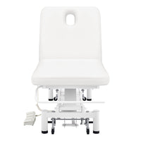 Thumbnail for DIR Mar Egeo 2-Motors Electric Medical Spa Treatment Bed